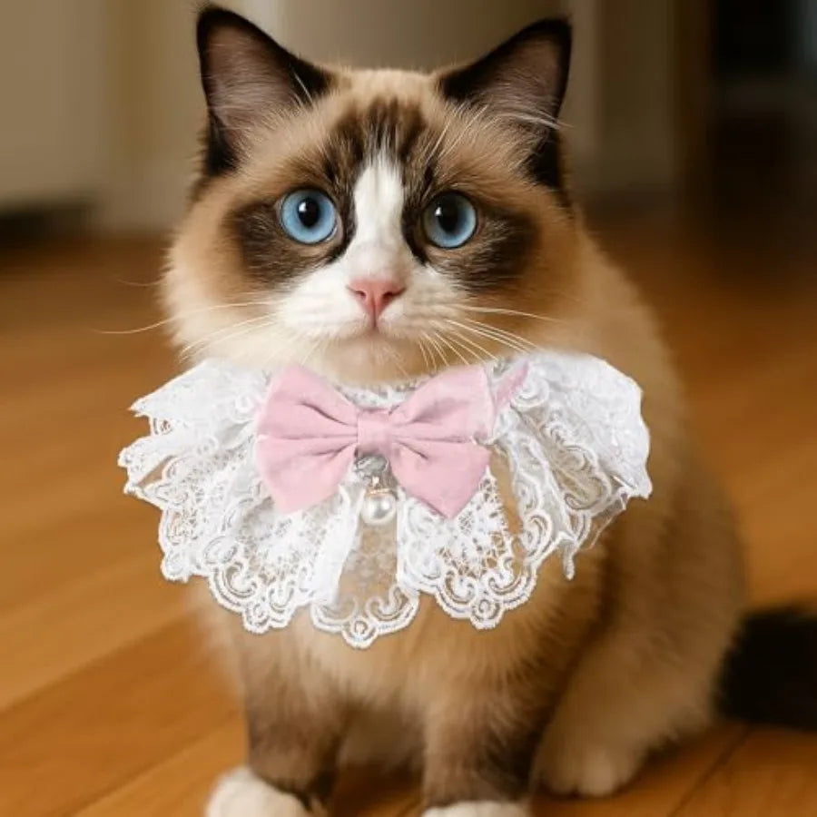 Cat Bow Collar Breakaway Cute Bow Tie