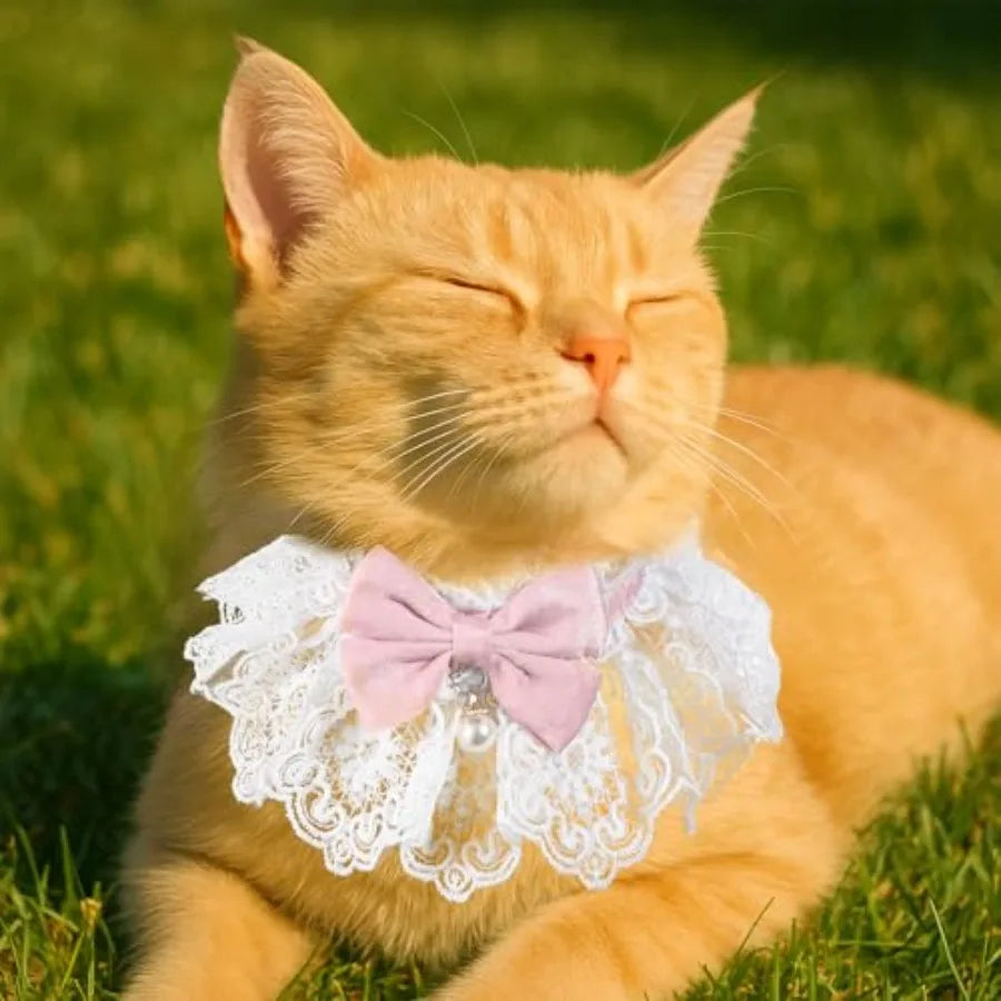 Cat Bow Collar Breakaway Cute Bow Tie